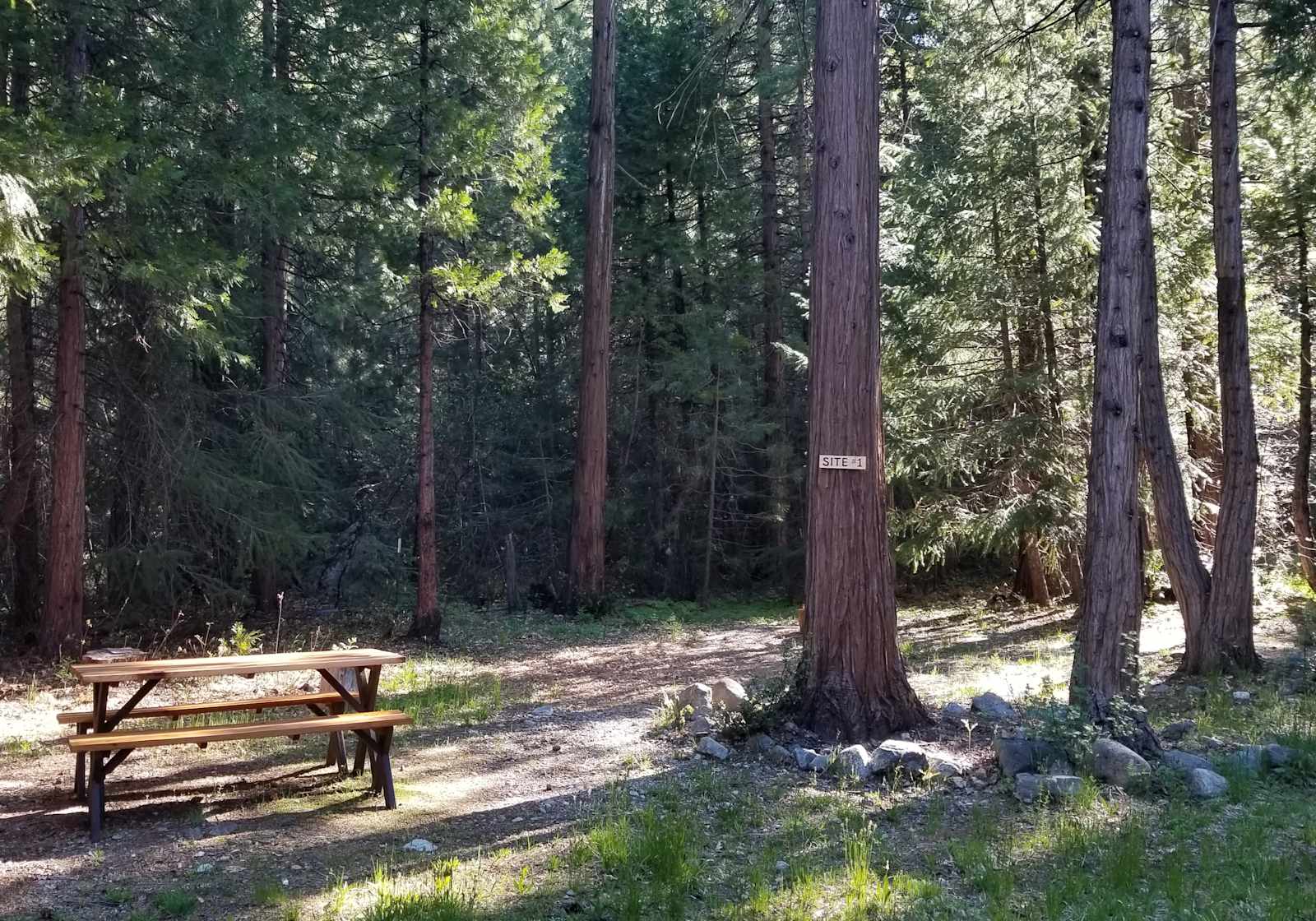 Bright Bear Camp in Tahoe NF - Nevada City, California - glamping.directory