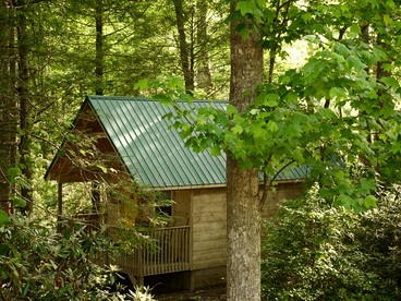 Charming Cabin in the Woods for a Cozy Outdoor Experience Surrounded by Nature in Cosby, Tennessee - Cosby, Tennessee - glamping.directory