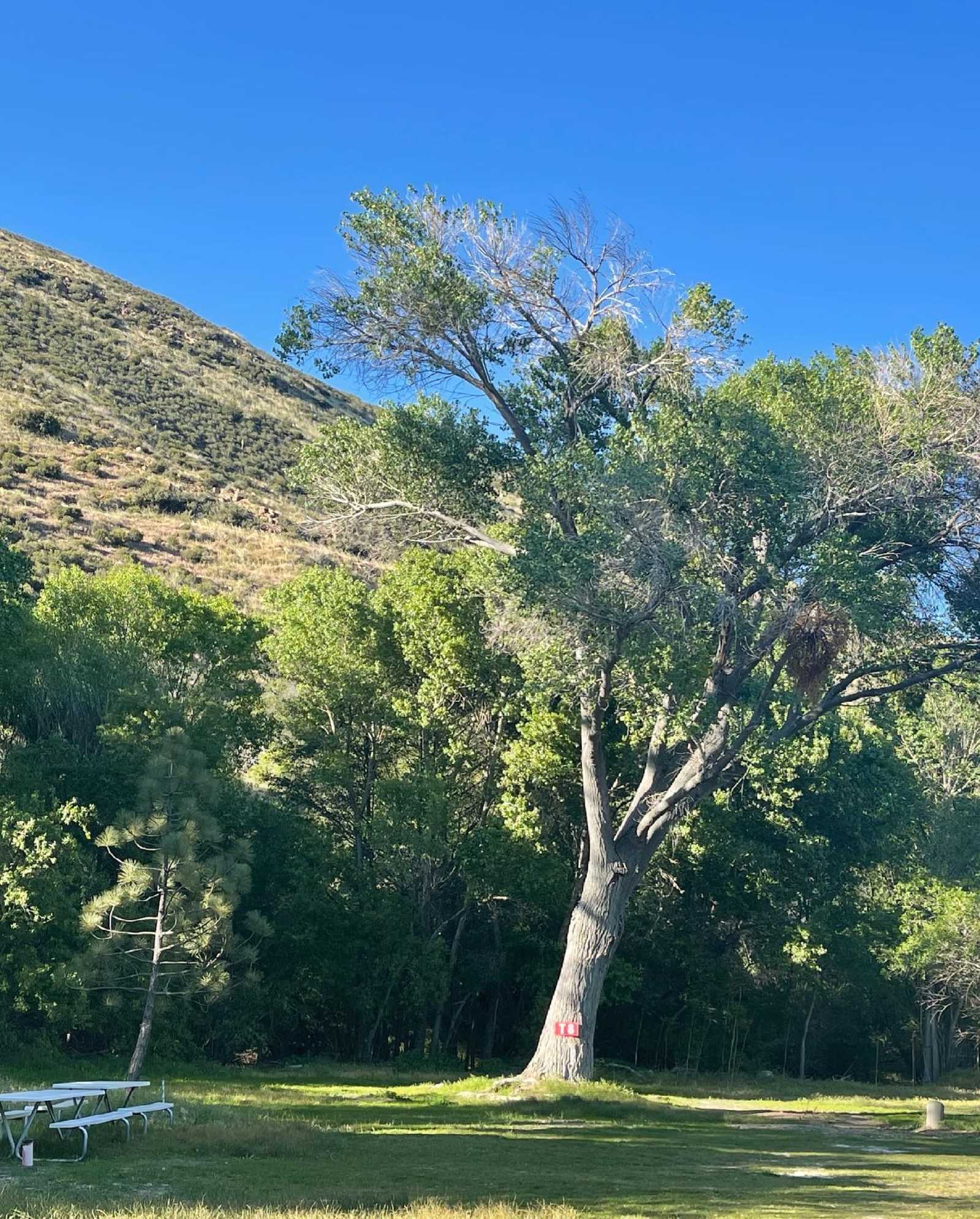Banner Ranch Julian - glamping.directory