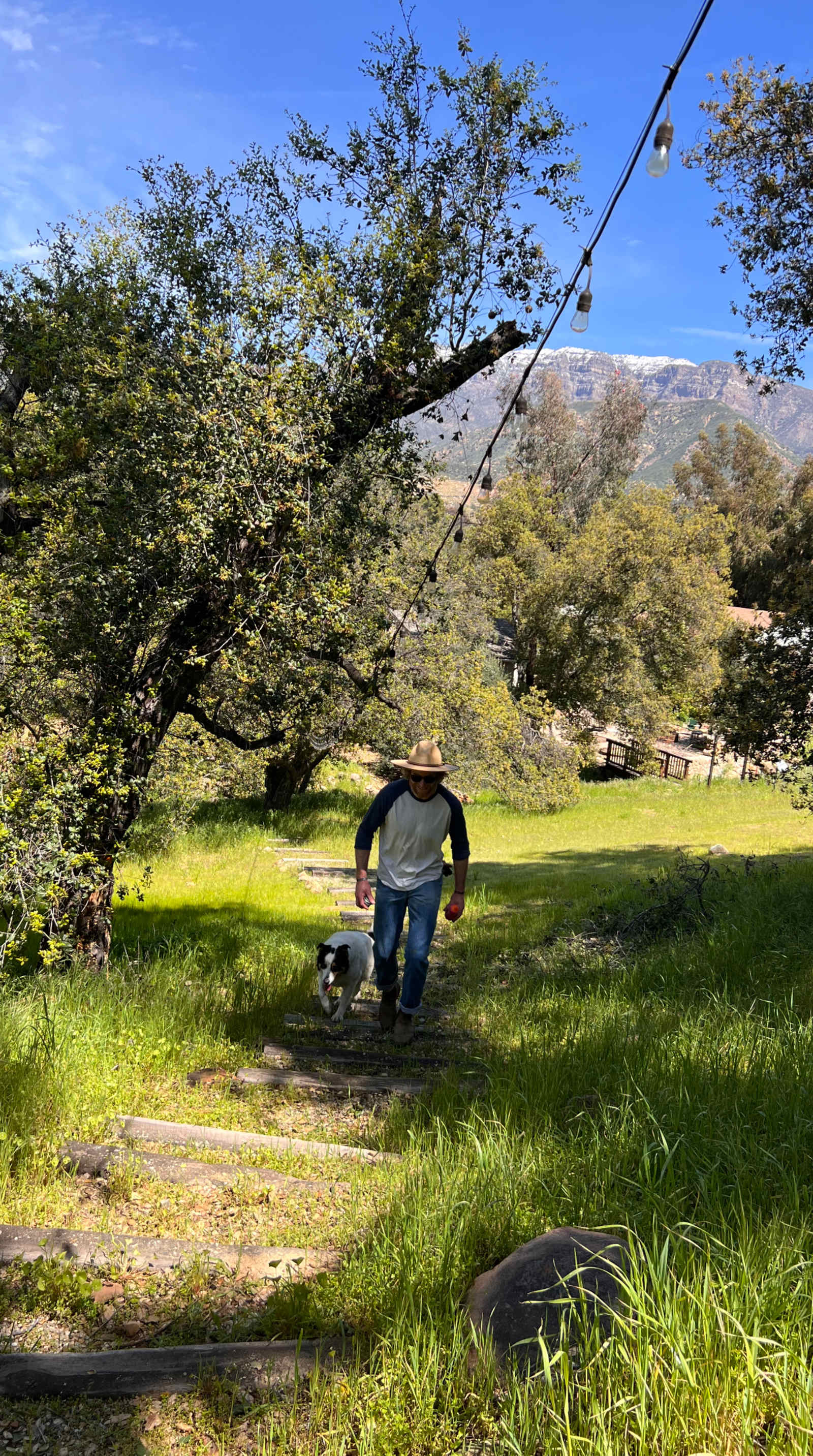 Park At Tar Creeks Ranch - Ojai, California - glamping.directory
