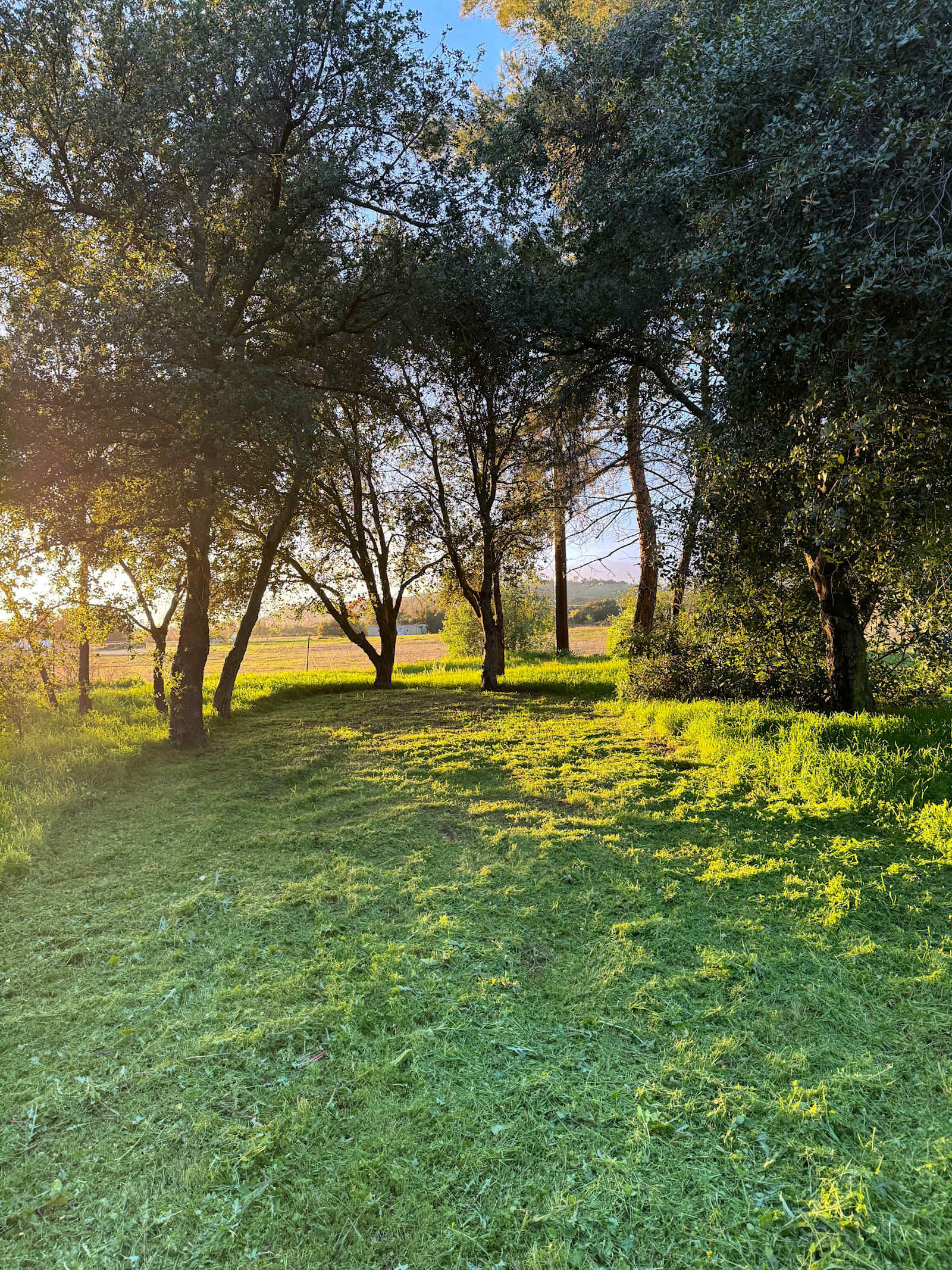 Park At Tar Creeks Ranch - Ojai, California - glamping.directory