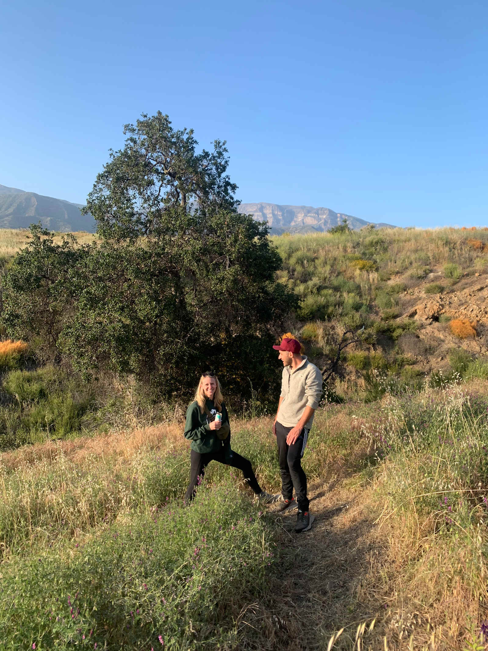 Park At Tar Creeks Ranch - Ojai, California - glamping.directory
