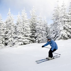 Scenic Ski-In/Ski-Out Mountain Retreat Near Wintergreen Resort, Wintergreen VA - Wintergreen Resort, Virginia - glamping.directory
