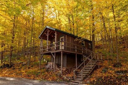 Treehouse Cabin in Riverton, WV - glamping.directory