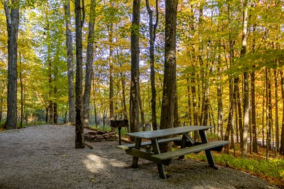 Treehouse Cabin in Riverton, WV - US, West Virginia - glamping.directory