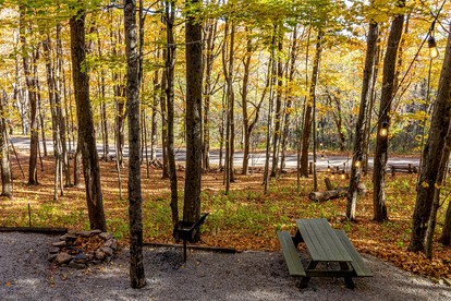 Treehouse Cabin in Riverton, WV - US, West Virginia - glamping.directory