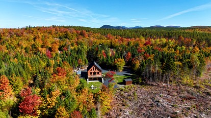 Amazing Wooden Cabin Surrounded by Trees in Greenville, Maine - Greenville, Maine - glamping.directory