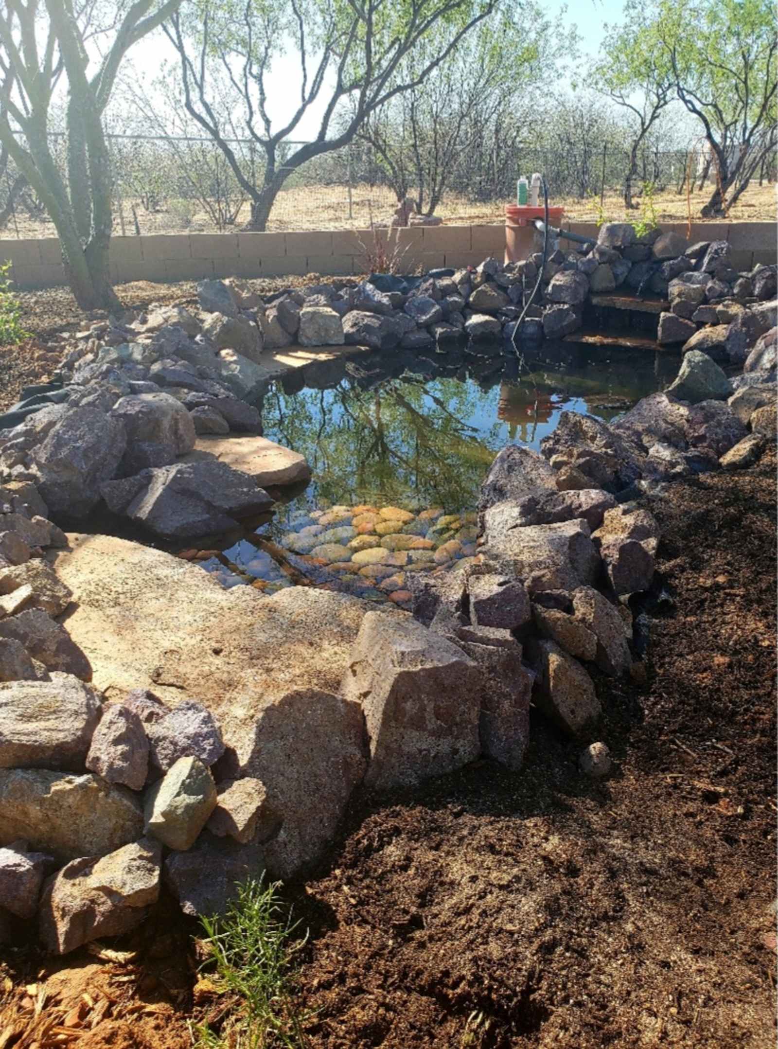 Rancho Relaxo - Tucson, Arizona - glamping.directory
