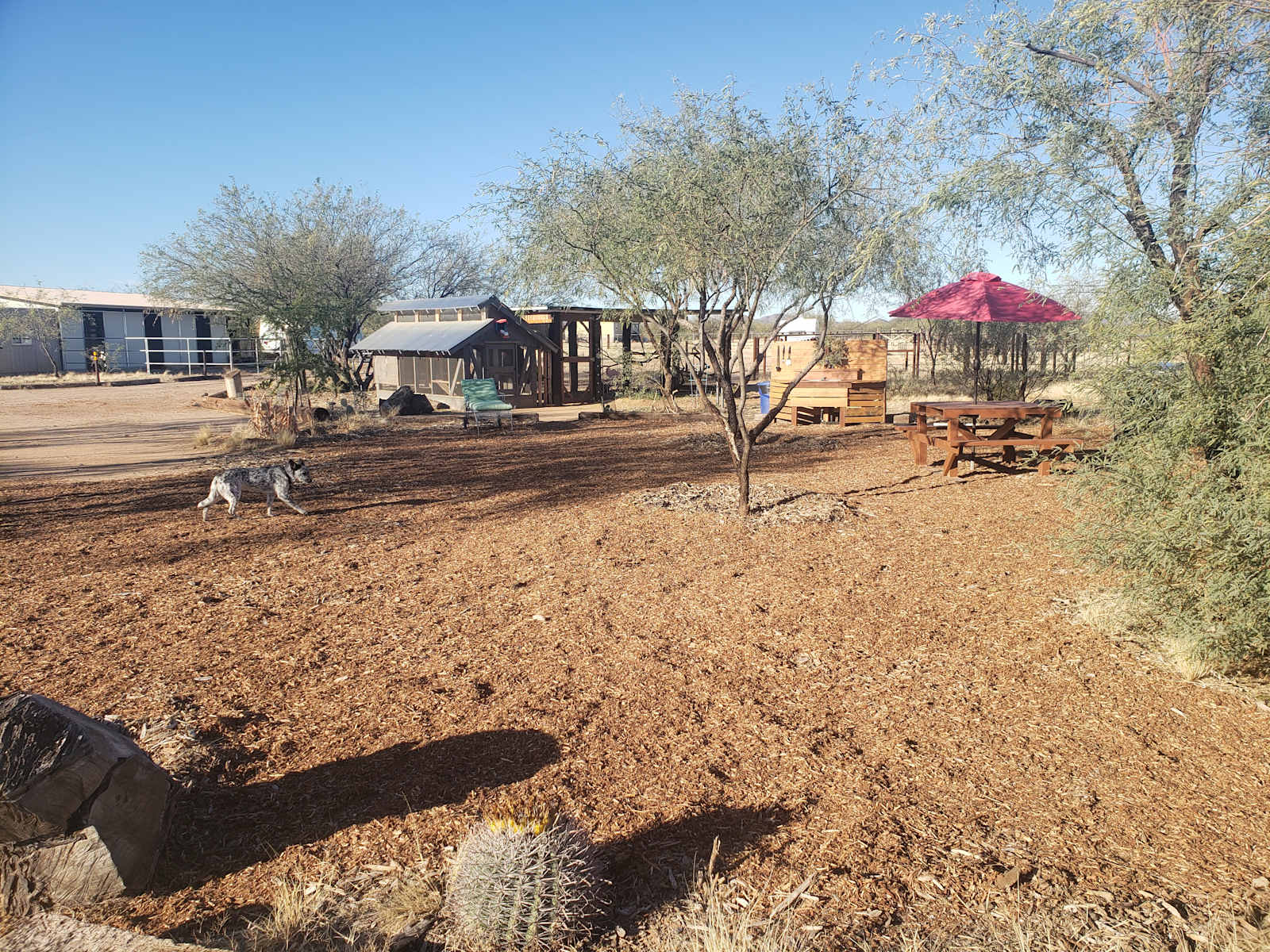 Rancho Relaxo - Tucson, Arizona - glamping.directory
