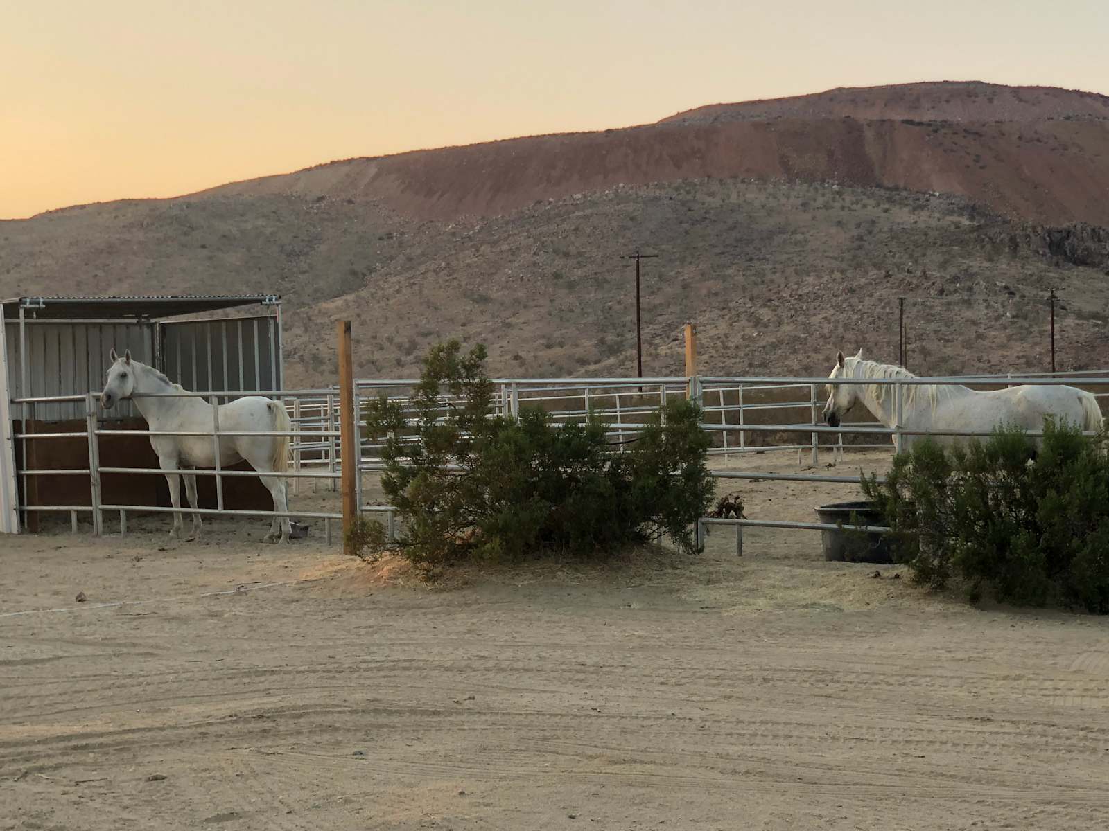 Horse Ranch Camp Desert Paradise - Mojave, California - glamping.directory