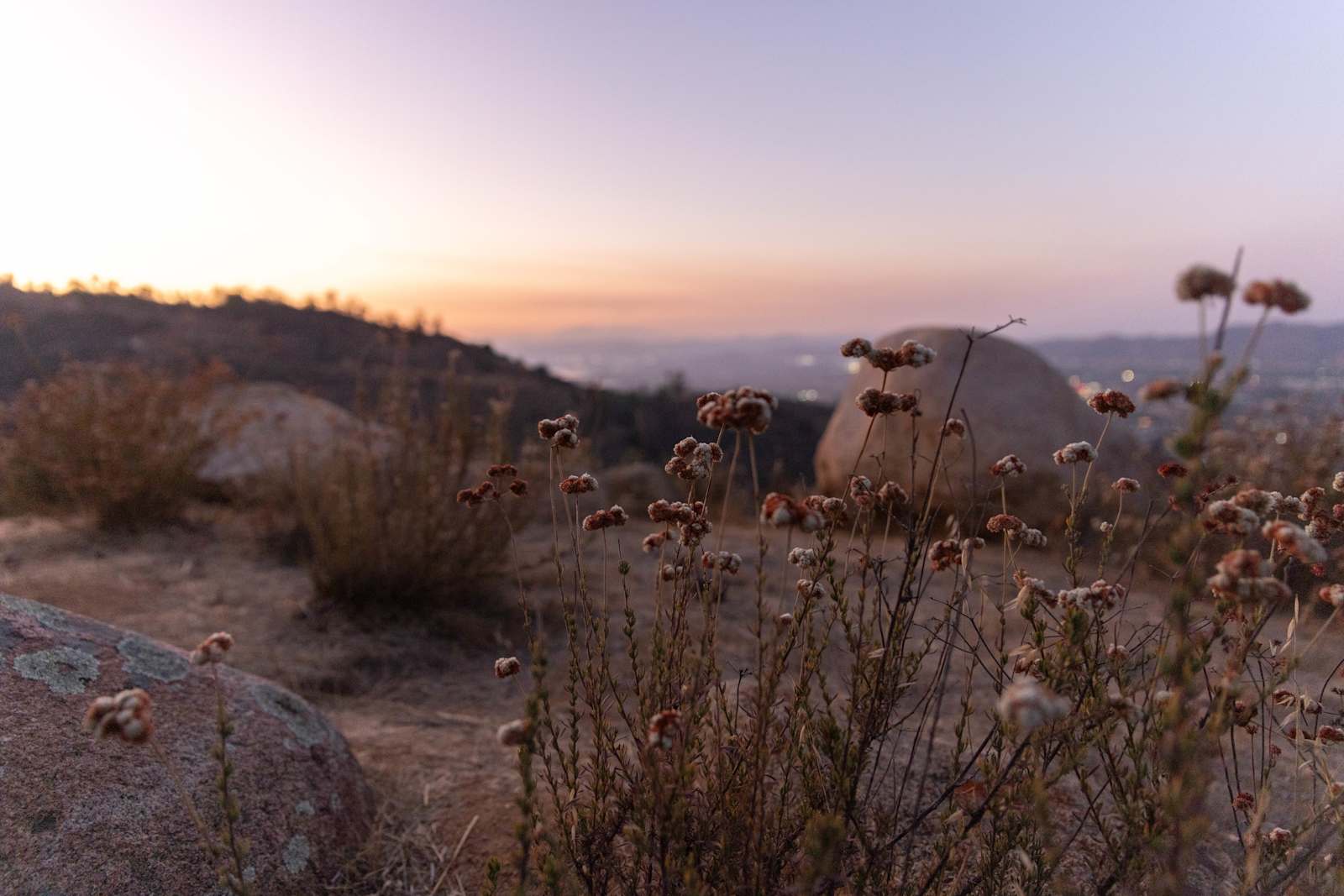 Zephyr Mountain Avocado Grove - Wildomar, California - glamping.directory