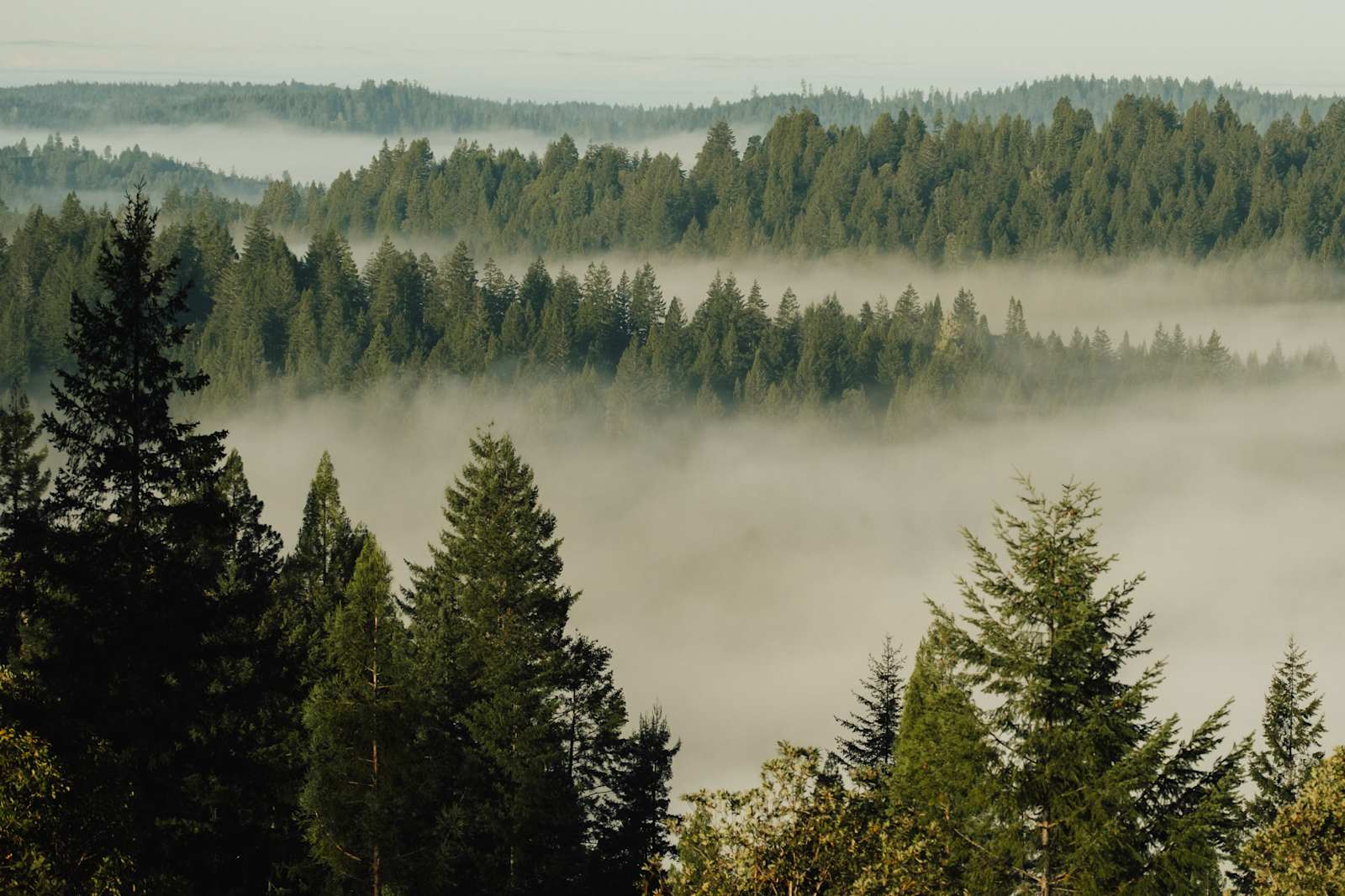 South Facing Ridge With Views - Comptche, California - glamping.directory