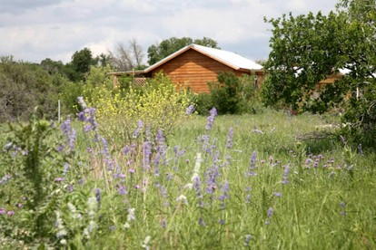 Pet-Friendly Cabin with Sweeping Views Overlooking Fredericksburg, Texas - Fredericksburg, Texas - glamping.directory