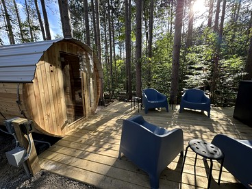 Luxury Private Dome with Spa and Fire Pit in Benzonia, Michigan - Vacation Home - Joyfield Township, Michigan - glamping.directory