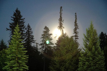 Cozy Cabin on Horse Ranch near Kalispell, Montana - Kila, Montana - glamping.directory
