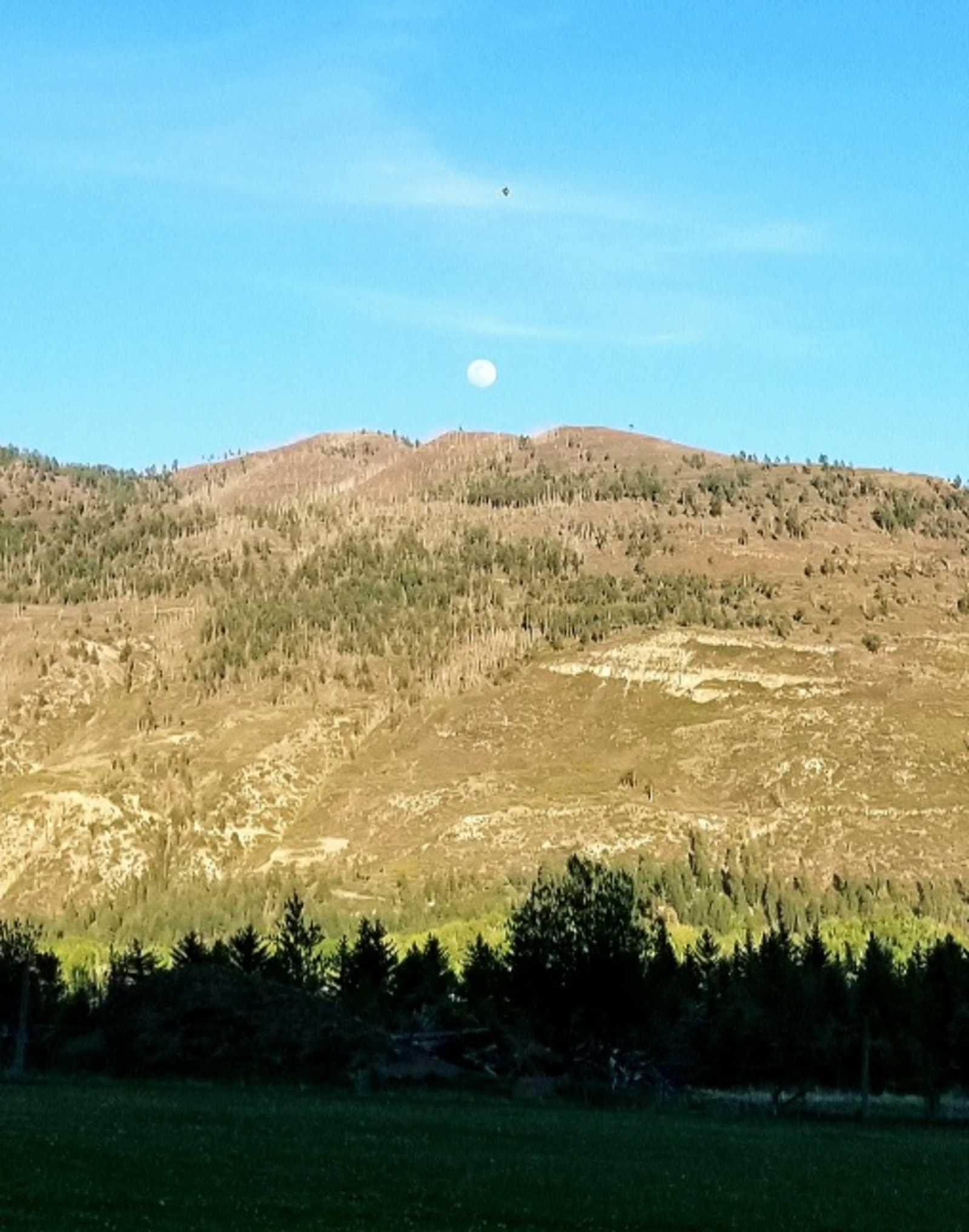 Animas River Valley red cliffs - Durango, Colorado - glamping.directory