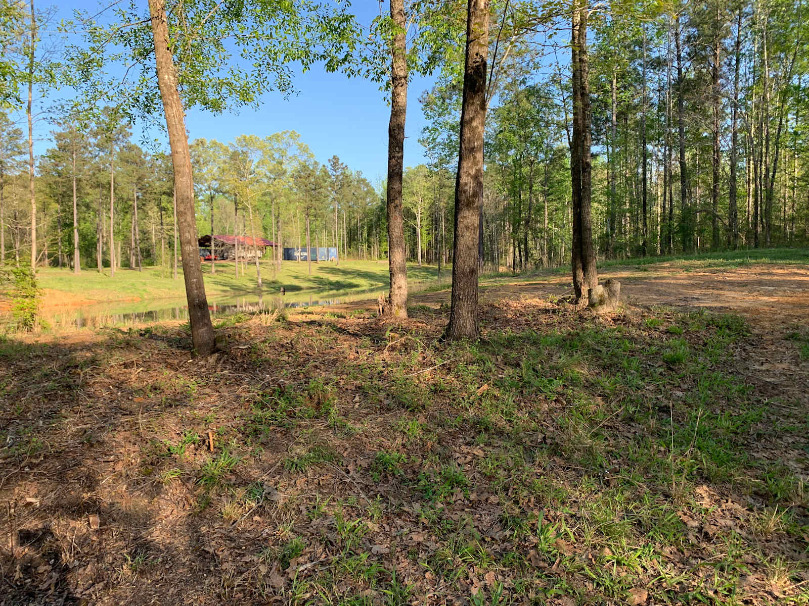 Argo’s Park & Trails - Mount Olive, Alabama - glamping.directory