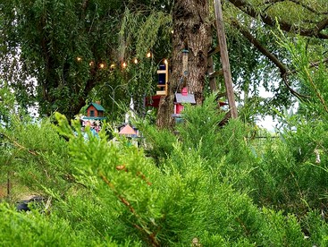 Romantic Vacation Rental off the Blue Ridge Parkway in Cana, Virginia - Cana, Virginia - glamping.directory