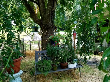 Romantic Vacation Rental off the Blue Ridge Parkway in Cana, Virginia - Cana, Virginia - glamping.directory
