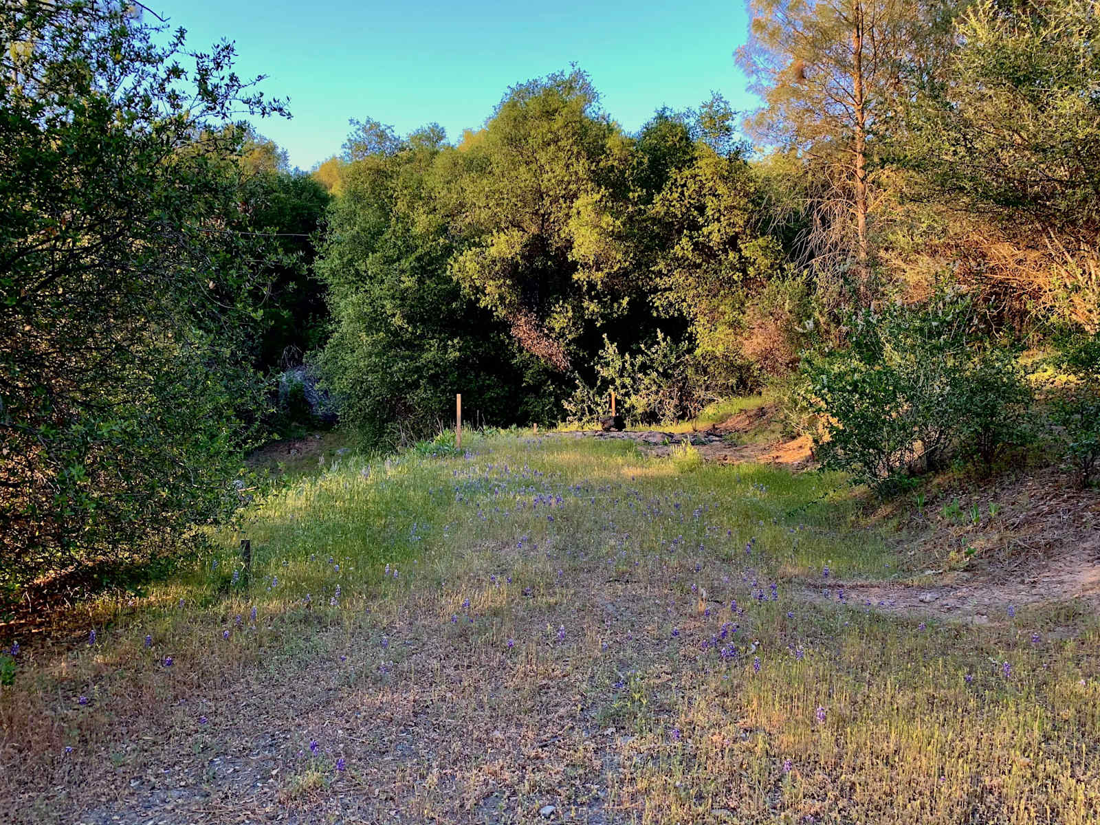 Little Piece of Yosemite - Mariposa, California - glamping.directory