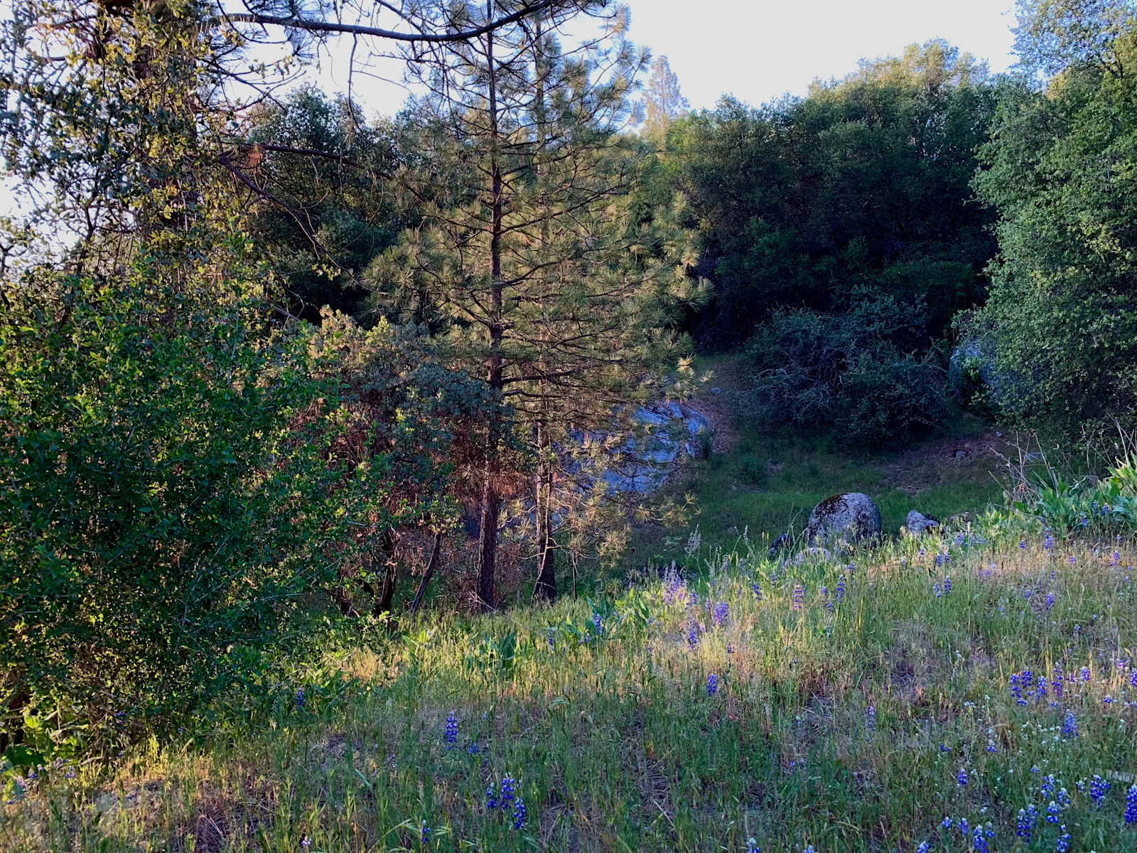 Little Piece of Yosemite - Mariposa, California - glamping.directory