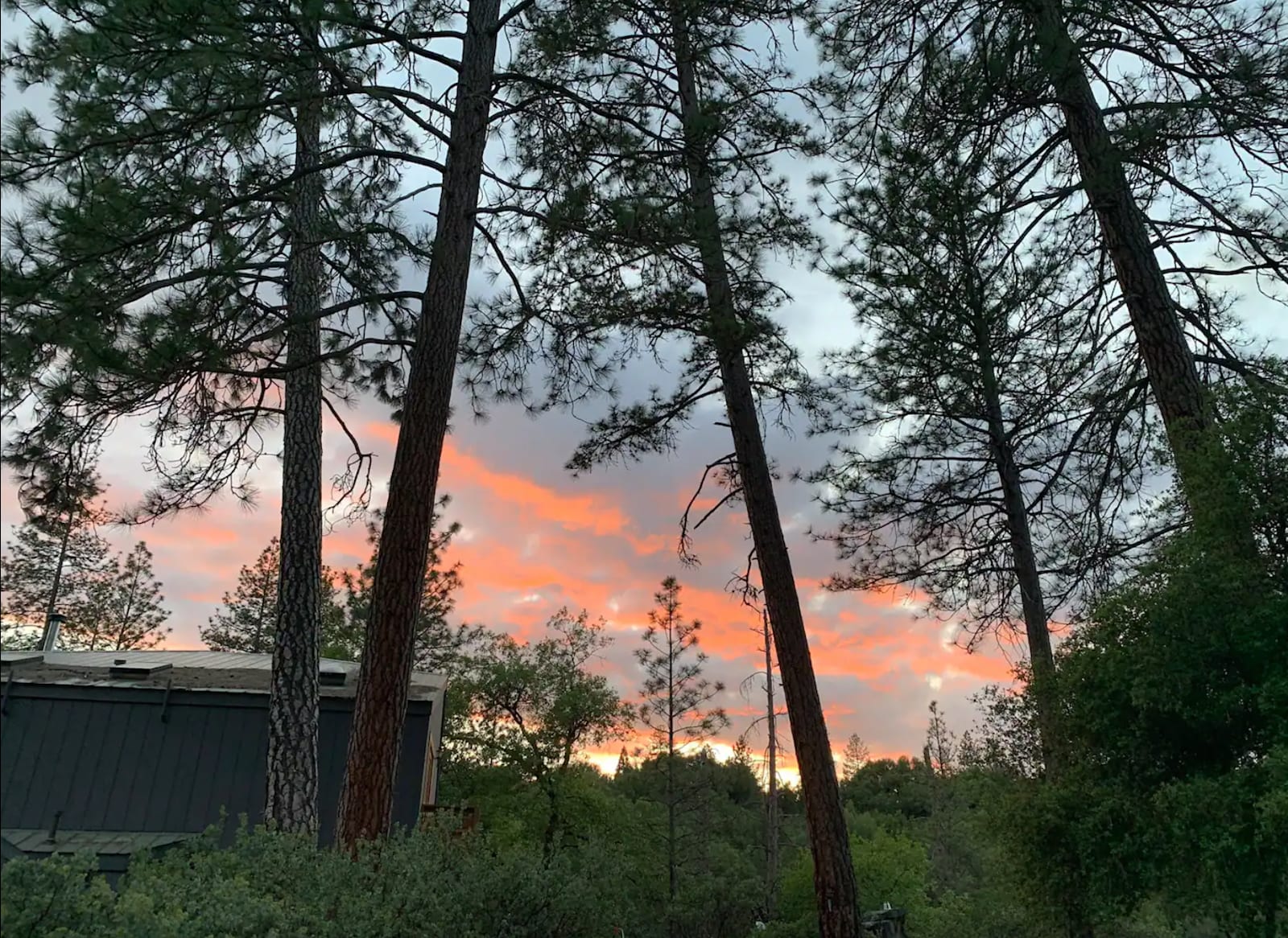 Little Piece of Yosemite - Mariposa, California - glamping.directory