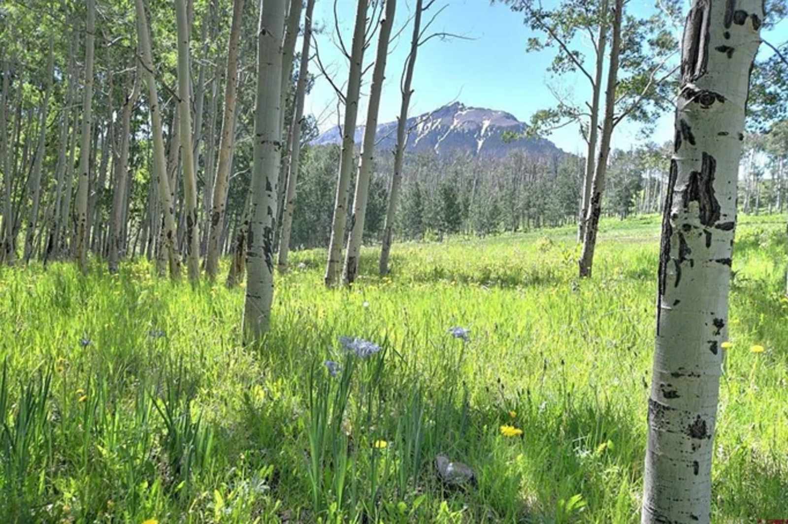 Hastings Mesa Nature Camp - Sawpit, Colorado - glamping.directory