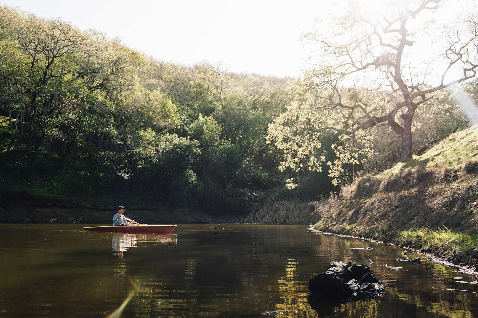 The Olive Farm - glamping.directory