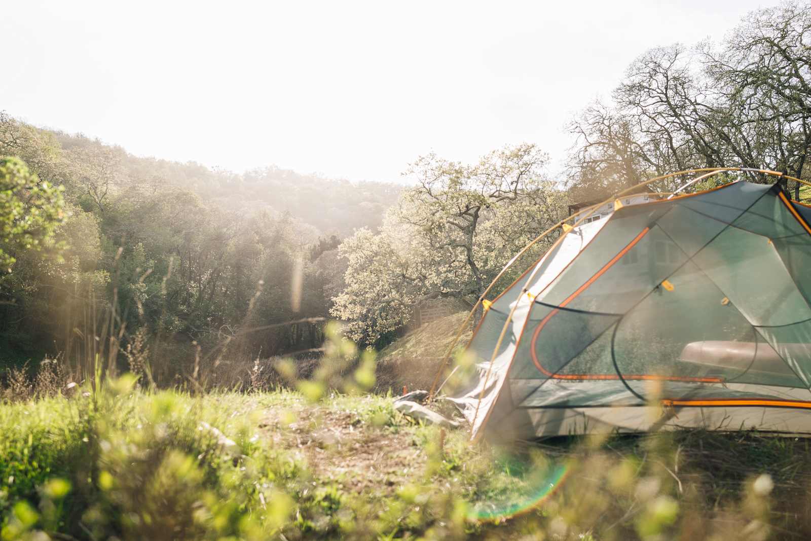 The Olive Farm - Novato, California - glamping.directory