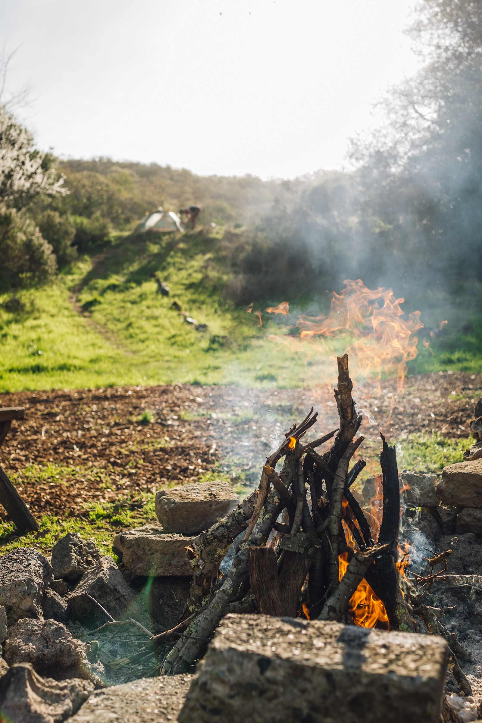 The Olive Farm - Novato, California - glamping.directory