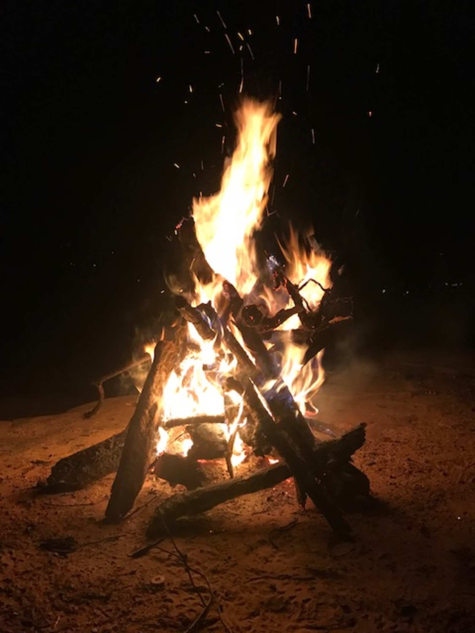 Fort Bluff Camp Site - Somerville, Alabama - glamping.directory