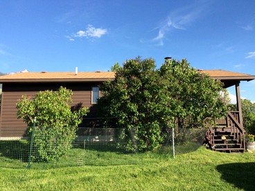 Romantic and Rural Cabin Rental Close to Yellowstone River near Bozeman, Montana - Livingston, Montana - glamping.directory