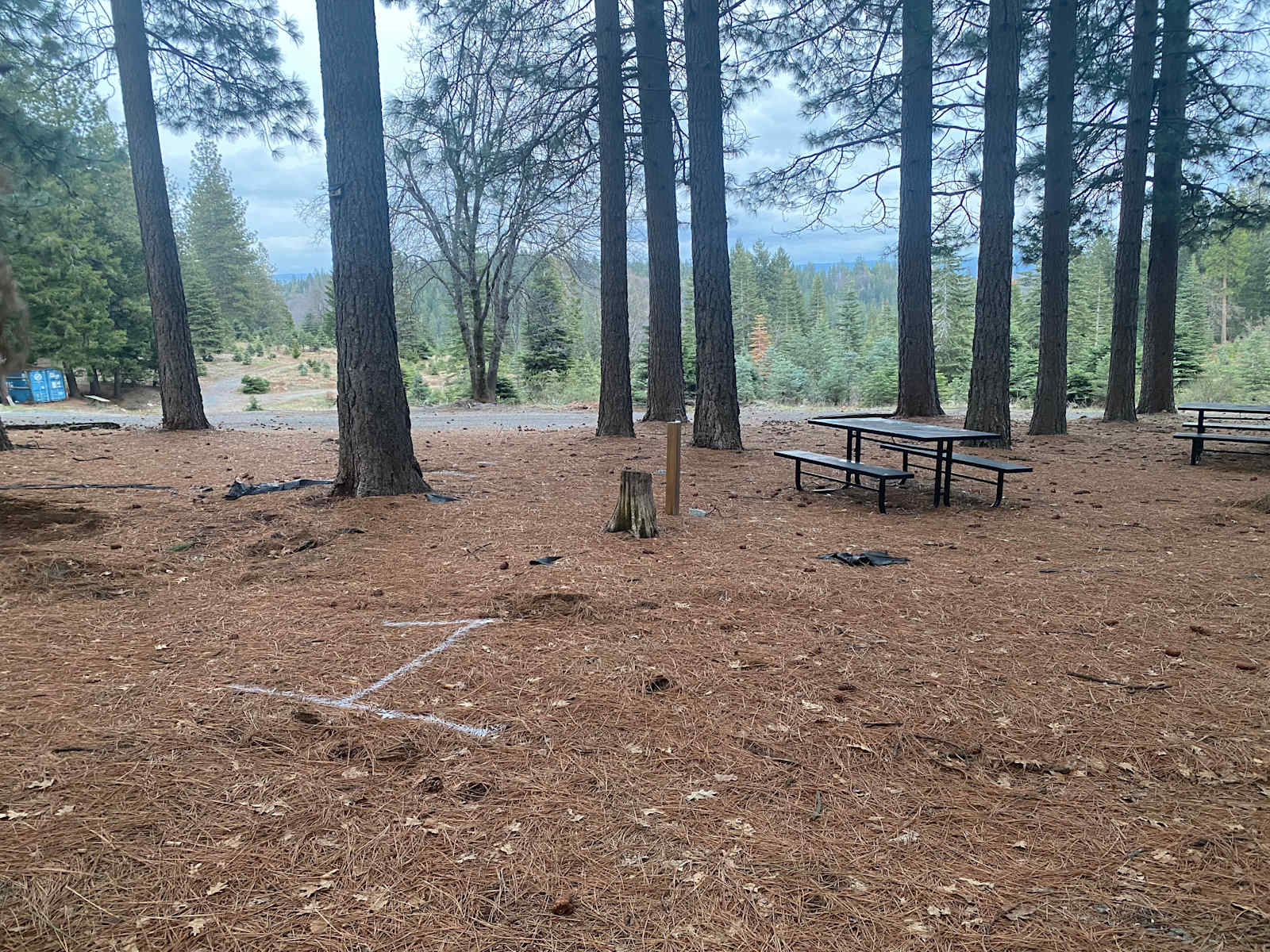 Snowy Peaks Christmas Tree Farm - Foresthill, California - glamping.directory