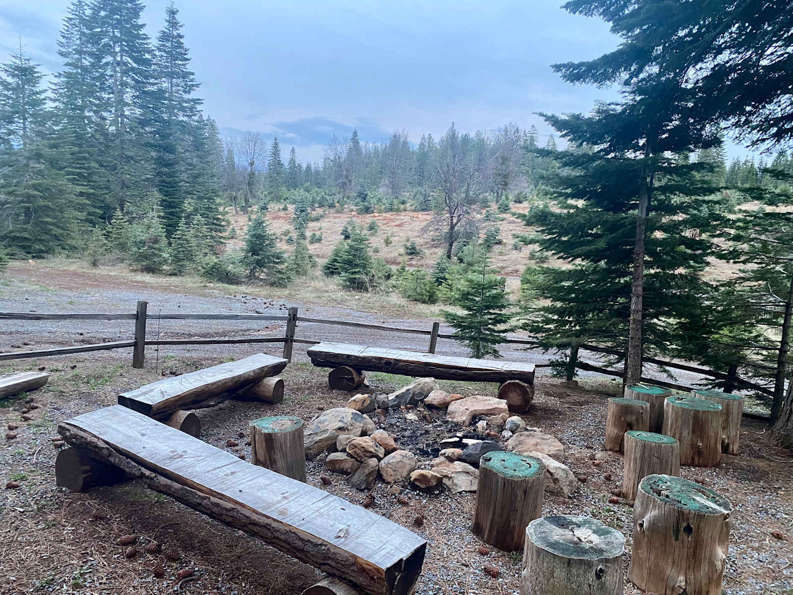 Snowy Peaks Christmas Tree Farm - Foresthill, California - glamping.directory