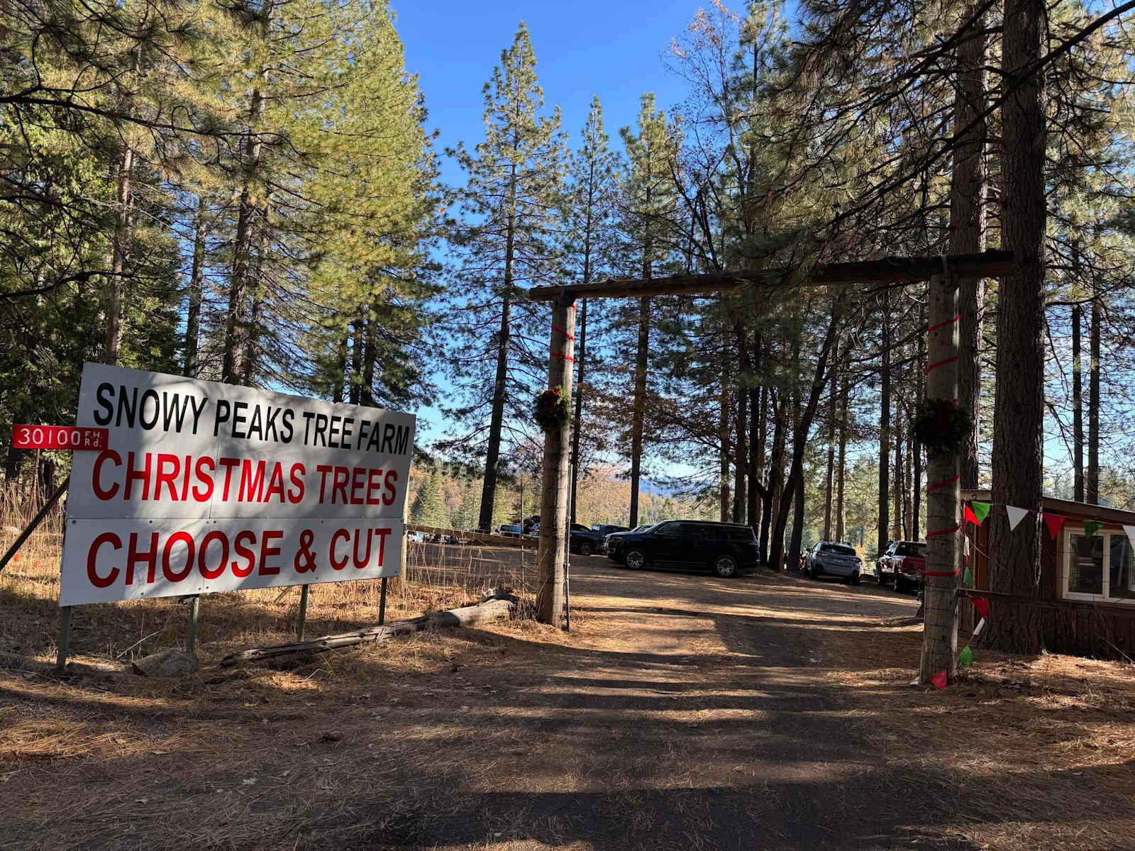 Snowy Peaks Christmas Tree Farm - Foresthill, California - glamping.directory
