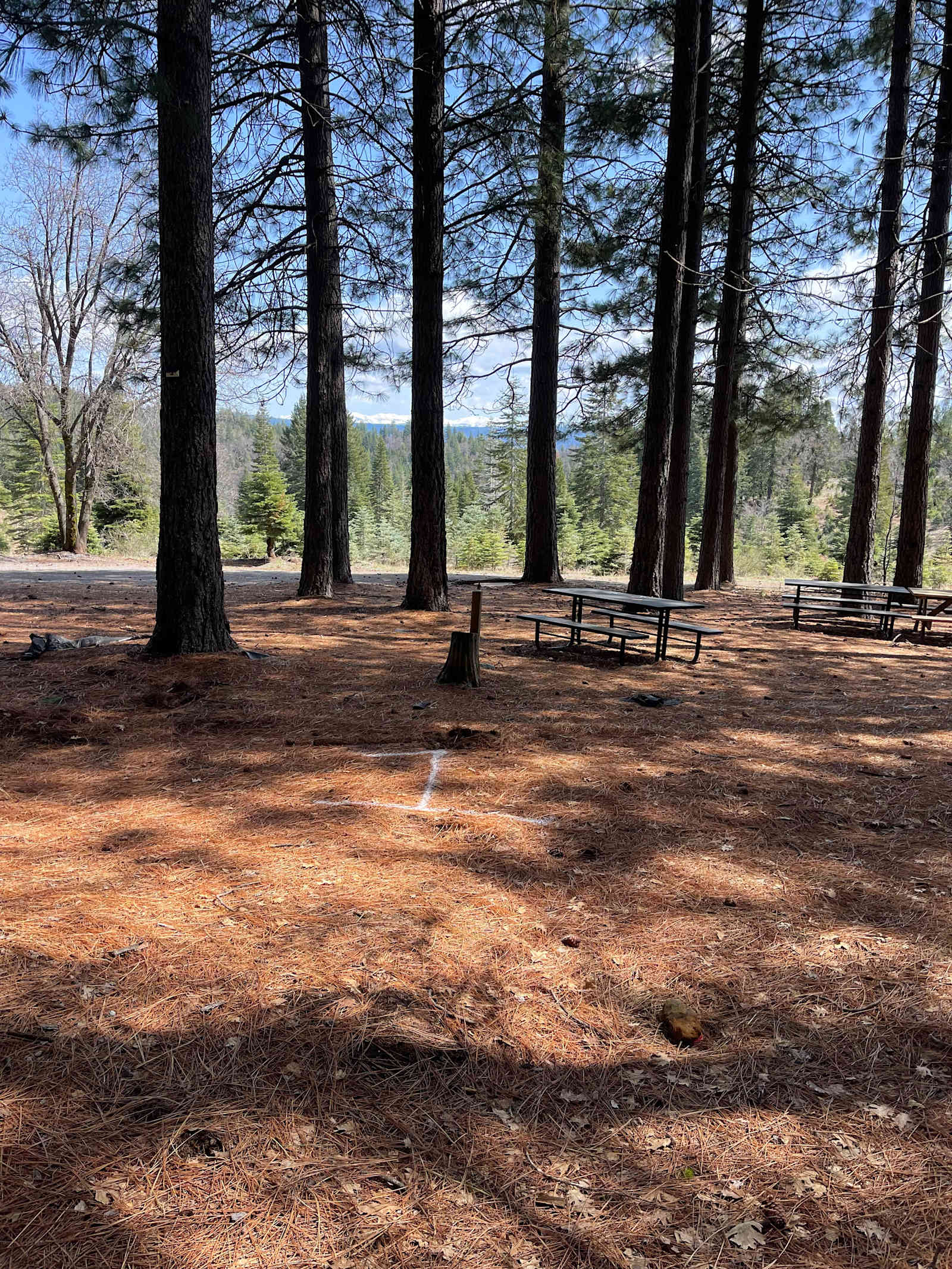 Snowy Peaks Christmas Tree Farm - Foresthill, California - glamping.directory