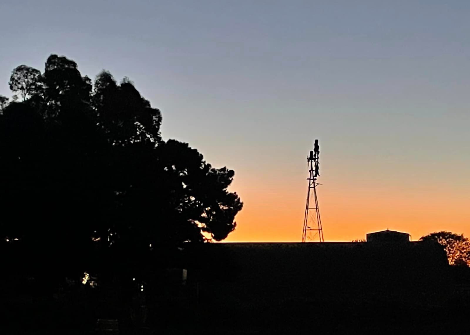 King and Queen Creek Farm - Queen Creek, Arizona - glamping.directory