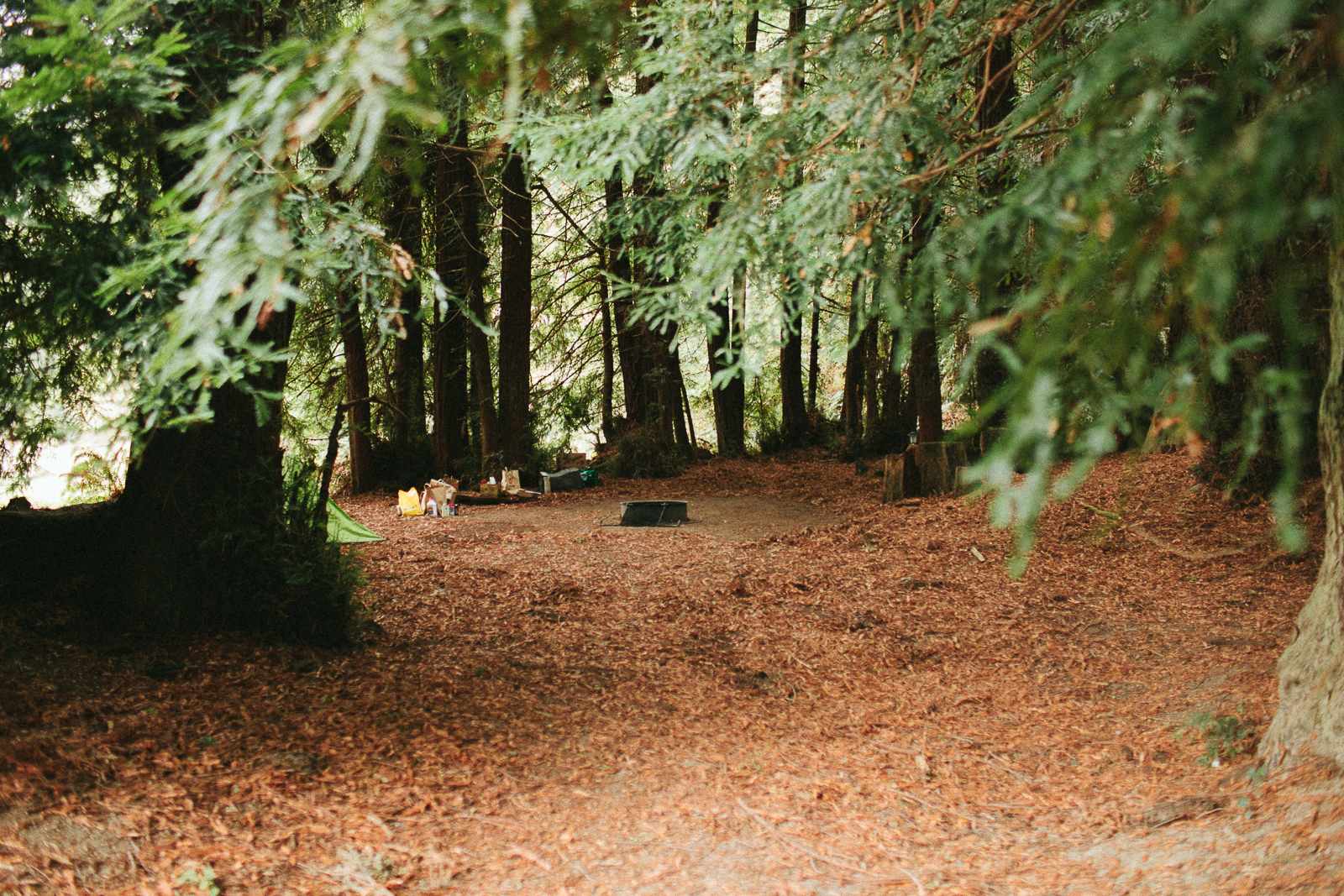 Salmon Creek Ranch - Bodega Bay, California - glamping.directory