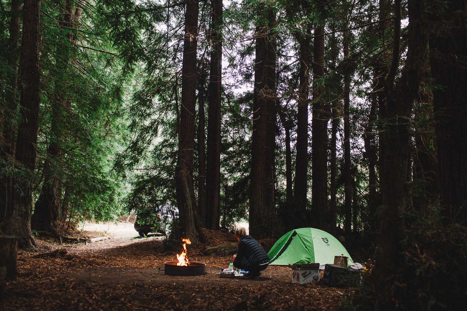 Salmon Creek Ranch - Bodega Bay, California - glamping.directory