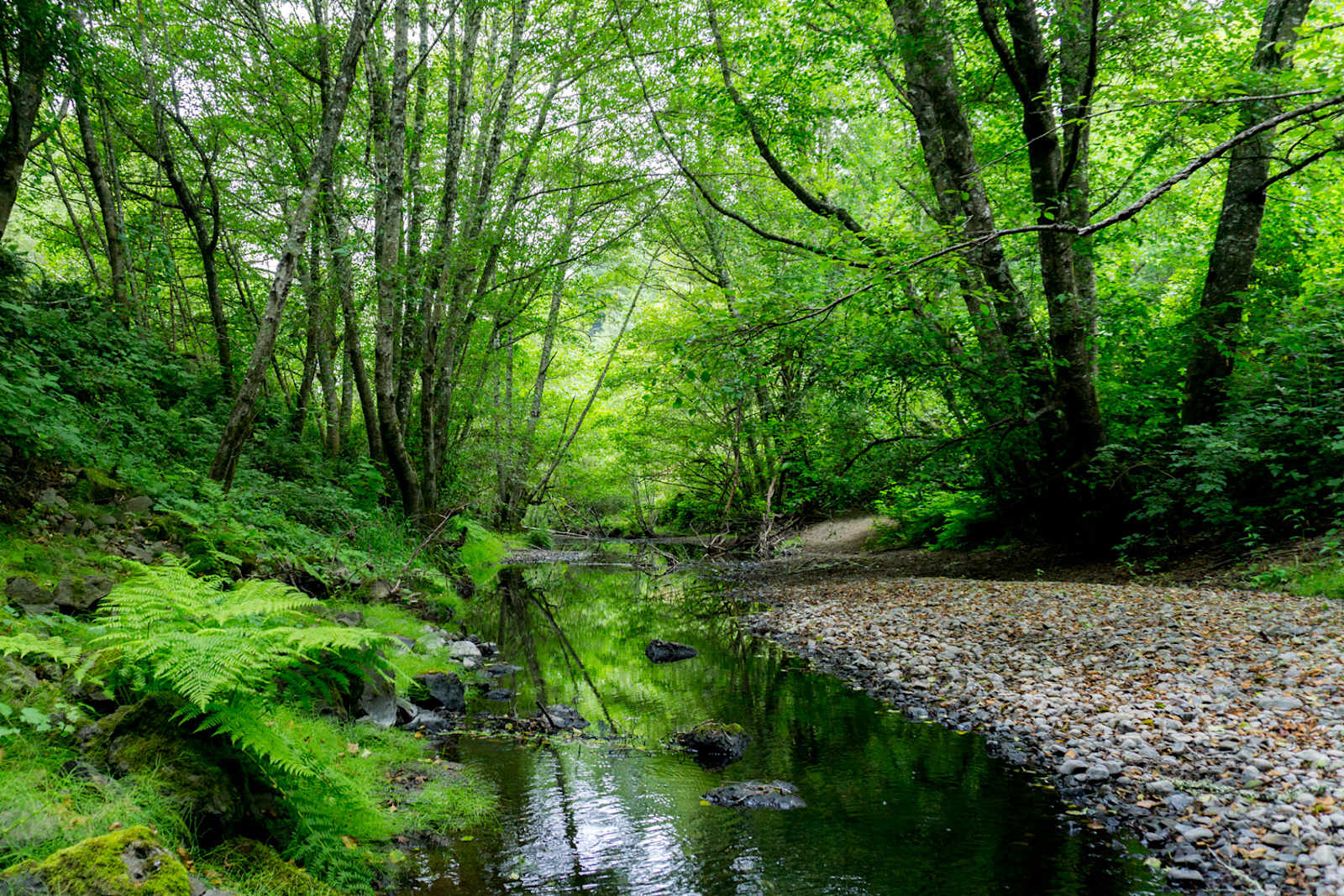 Salmon Creek Ranch - Bodega Bay, California - glamping.directory