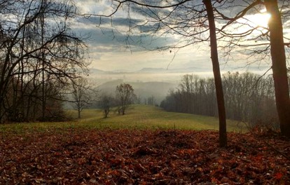 Romantic Getaway Surrounded by Peaceful Farmland near Lewisburg, West Virginia - Lewisburg, West Virginia - glamping.directory