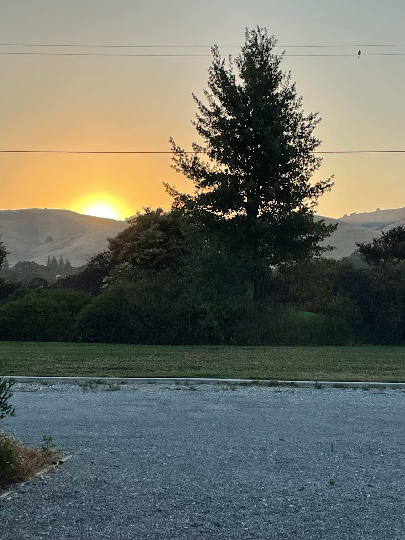 Country Serenity With Resort Flare - Hollister, California - glamping.directory
