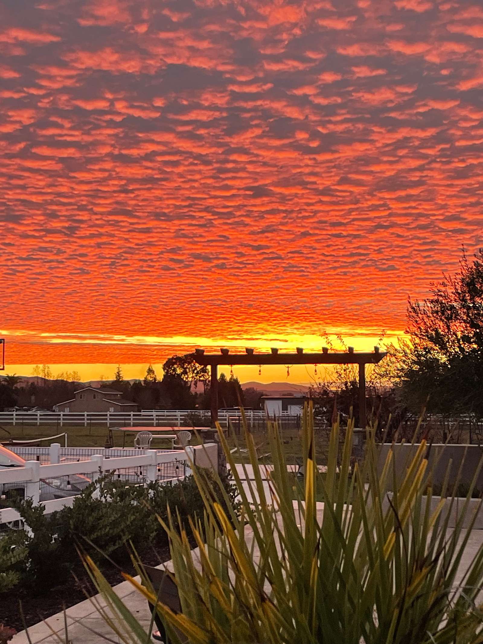 Country Serenity With Resort Flare - Hollister, California - glamping.directory