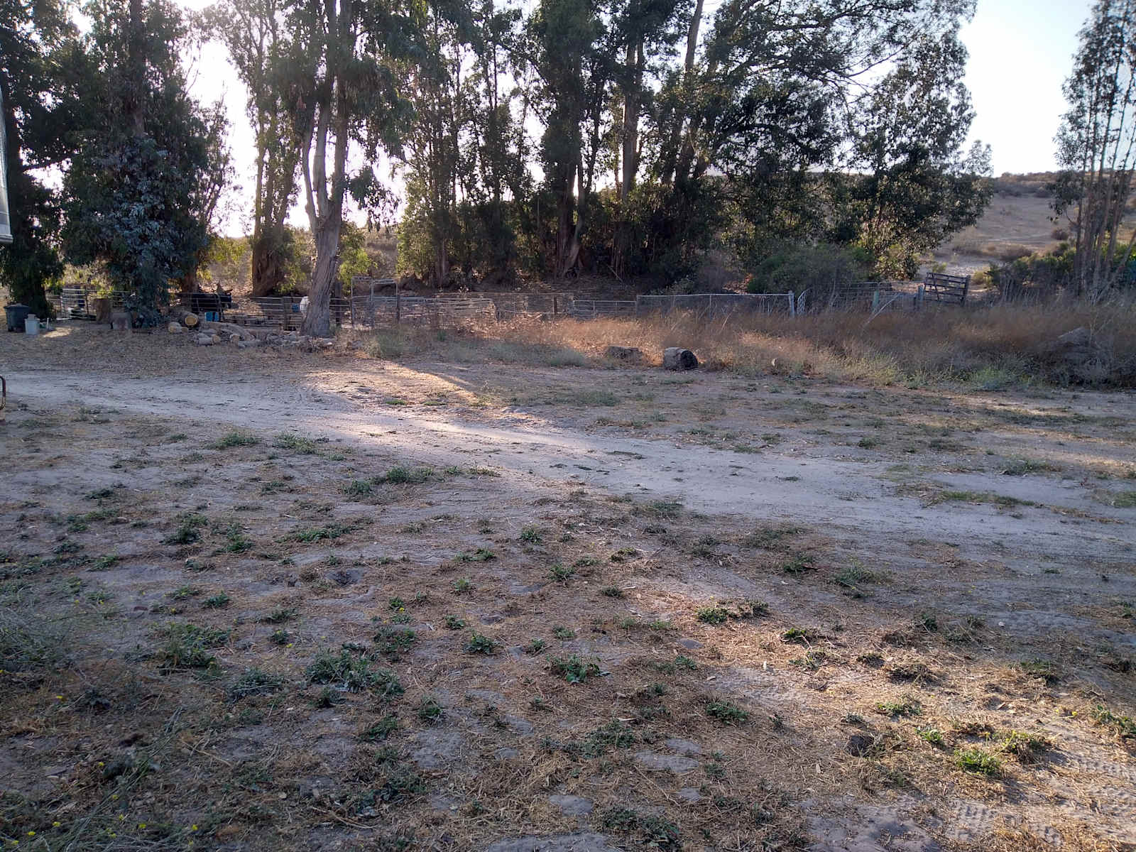 Rancho Relaxo - Mission Hills, California - glamping.directory