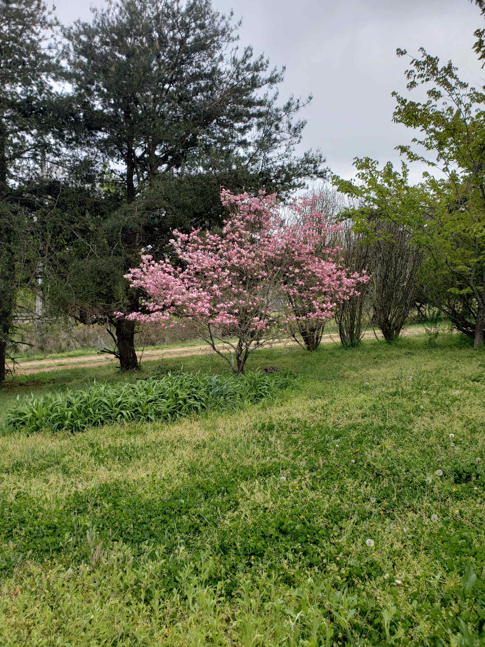 Enchanted Ozarks - Jasper, Arkansas - glamping.directory
