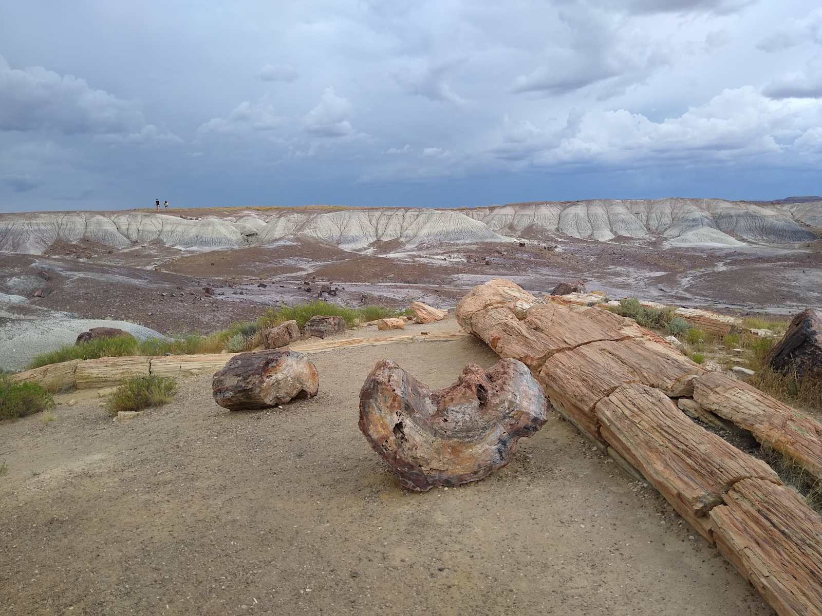 Front Row Seat! Petrified Forest! - Sun Valley, Arizona - glamping.directory