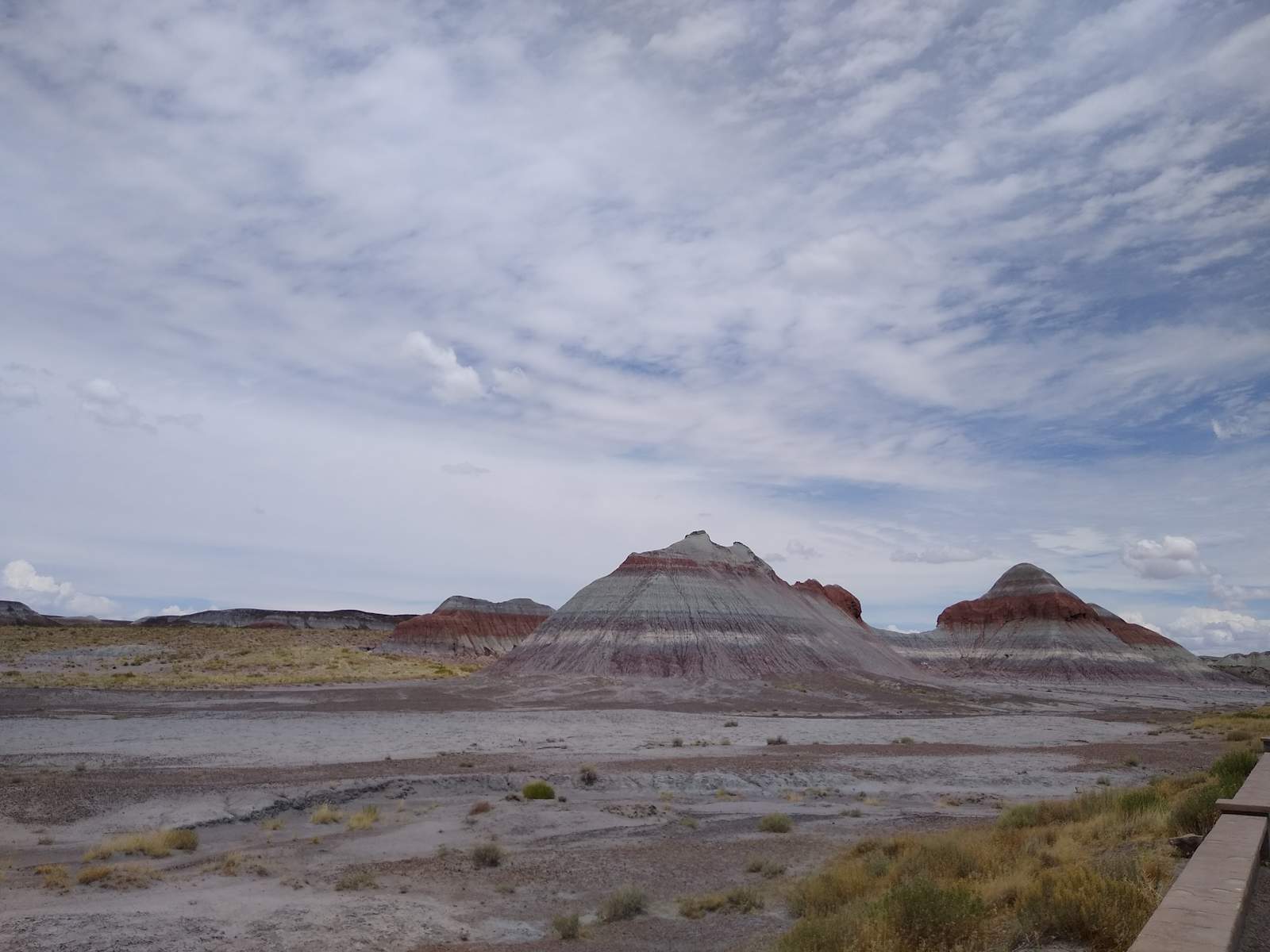 Front Row Seat! Petrified Forest! - Sun Valley, Arizona - glamping.directory