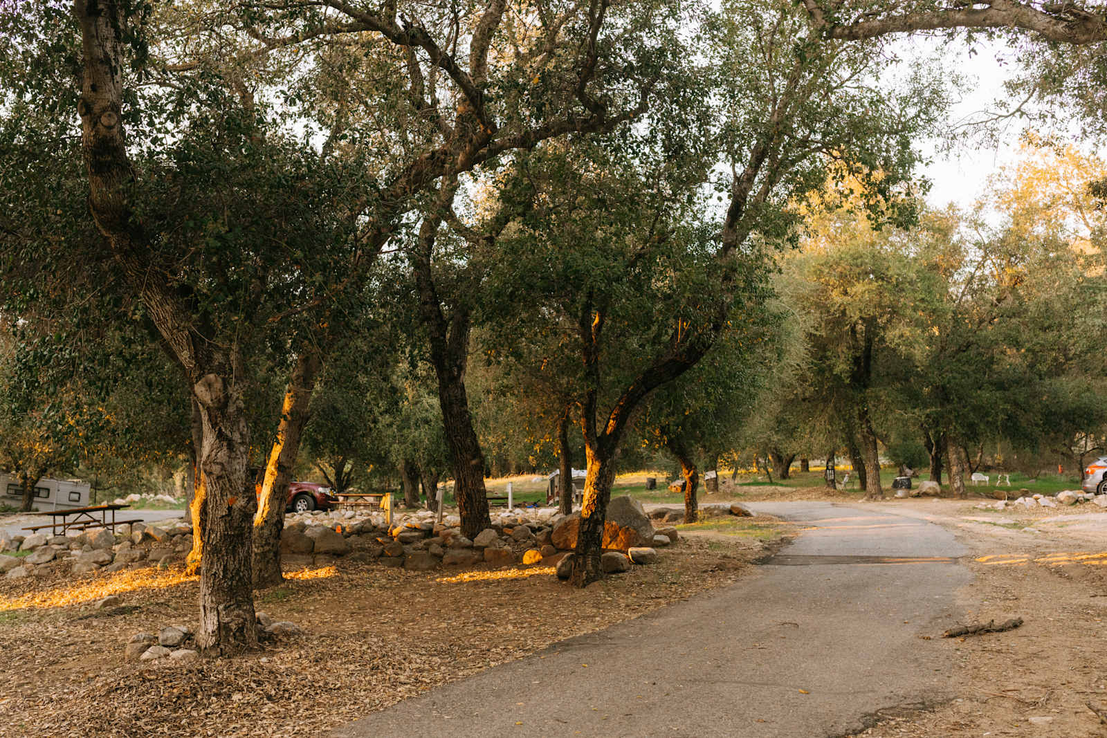 Basecamp Palomar - Pauma Valley, California - glamping.directory