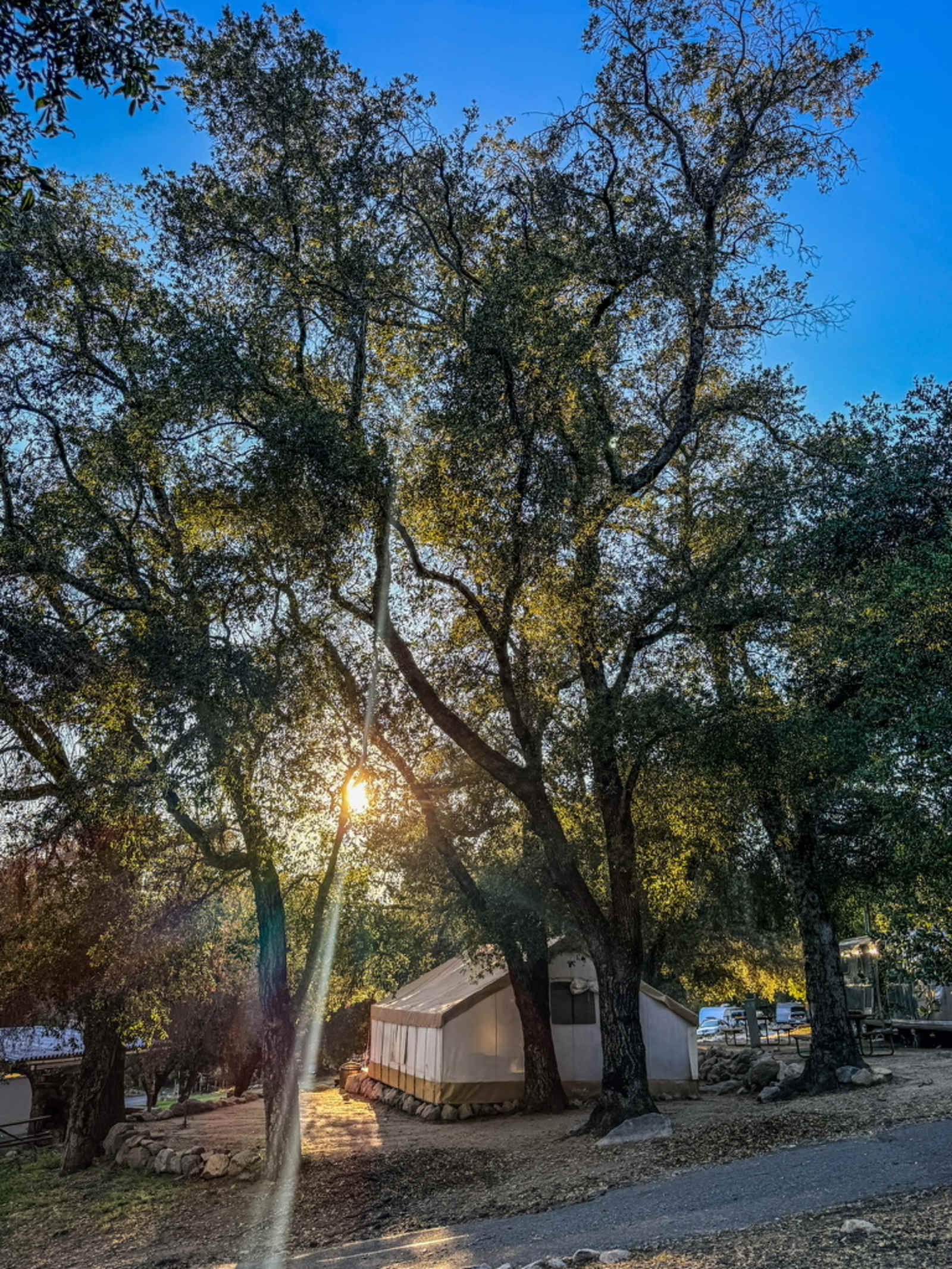 Basecamp Palomar - glamping.directory