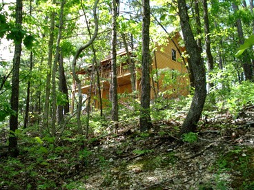 Peaceful and Spacious Log Cabin Rental with Woodland Views near Branson, Missouri - Branson, Missouri - glamping.directory
